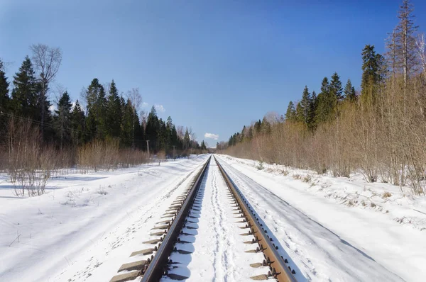 Přímé Železniční Zimním Lese Slunečný Den Vladimir Region Rusko — Stock fotografie