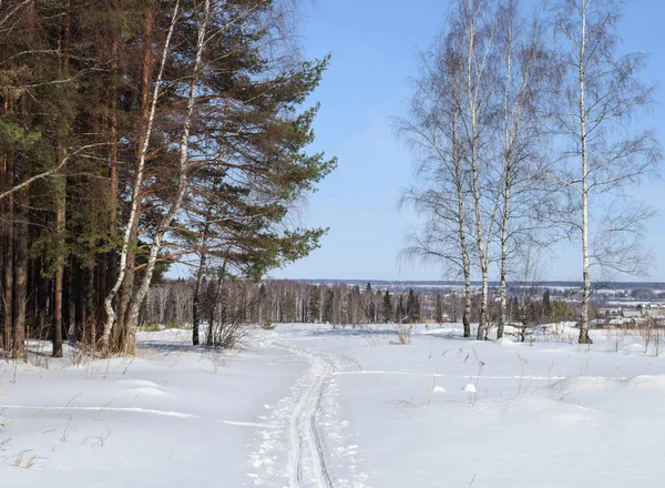 国の冬の風景 林縁に沿ってスキー トラック ウラジミール地域 ロシア — ストック写真