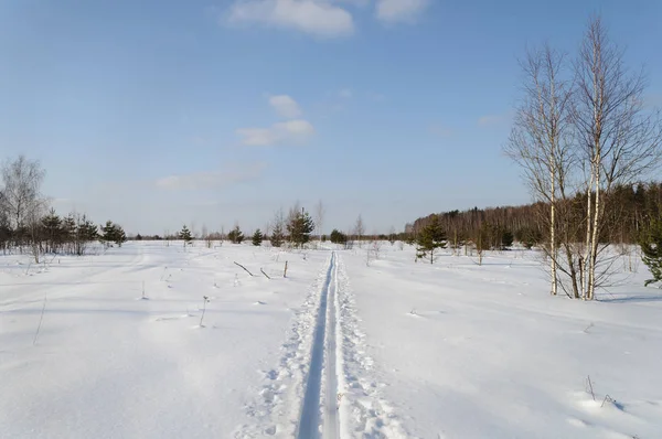 乡村冬季景观 滑雪道在雪的领域 光秃秃的桦树在森林边缘 — 图库照片