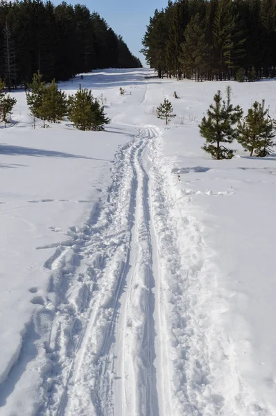 Paysage Hivernal Piste Ski Travers Grande Clairière Dans Forêt Conifères — Photo