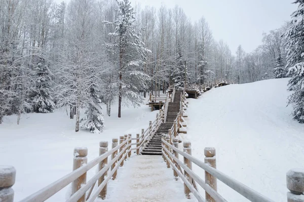 Wooden stairs through forest in the northern open air museum Malye Korely near Arkhanglesk, winter time