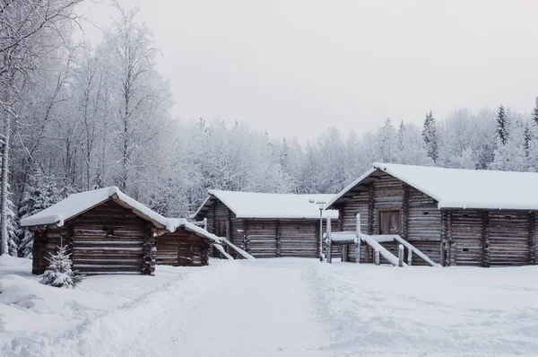 俄罗斯阿尔汉格斯克附近的北部露天博物馆马琳 科利的老木结构农民住宅 有谷仓 冬天寒冷的天 — 图库照片