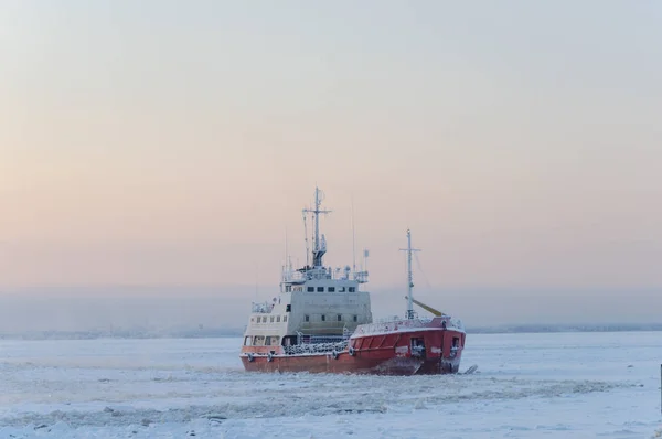 Kis Jégtörő Között Jég Északi Dvina Folyó Arhangelszk Észak Oroszország — Stock Fotó