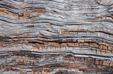 Eski çürümüş günlük arka planı kapat