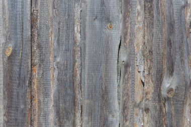 Grunge ahşap arka plan. Bir eski BOYASIZ ahşap çit parçası.