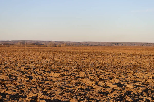 Paysage Champêtre Printanier Champ Labouré Soirée Ensoleillée — Photo