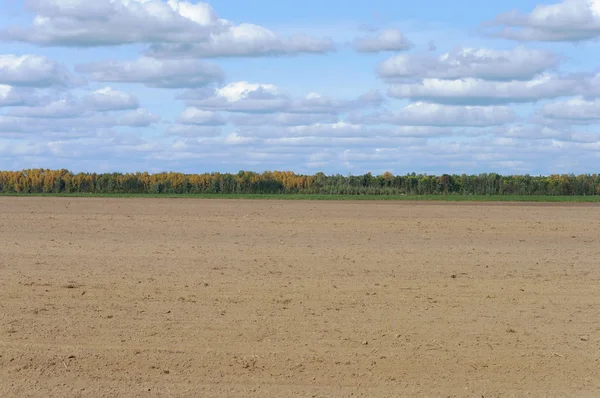 Paisagem Rural Campo Arável Antes Semeadura Floresta Distância Nuvens Céu — Fotografia de Stock