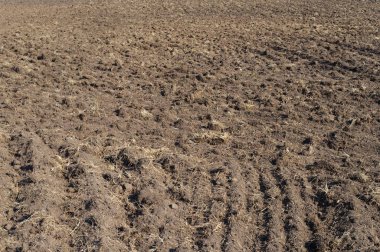 Ülkenin peyzaj, tarıma elverişli çiftlik alan arka plan