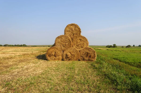 Paisagem Rural Pasto Com Pilha Fardos Feno Dia Ensolarado Verão — Fotografia de Stock