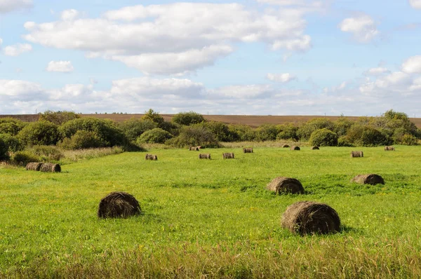 Country Landscape Green Meadow Hay Bales Sunny Summer Day — Stock Photo, Image