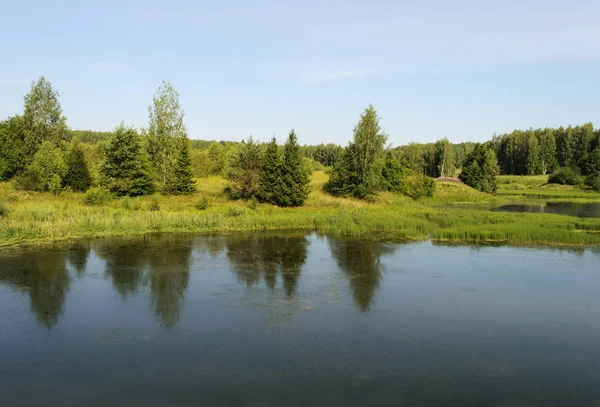 Lago da floresta na hora de verão — Fotografia de Stock