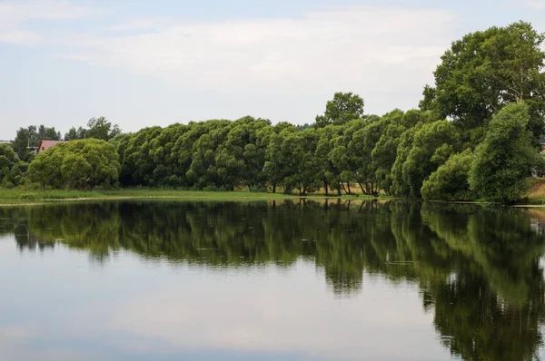 Ülkede küçük göl — Stok fotoğraf
