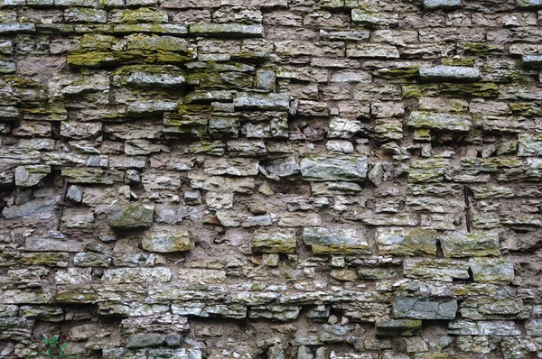 Eski kireçtaşı duvarın dokusu — Stok fotoğraf