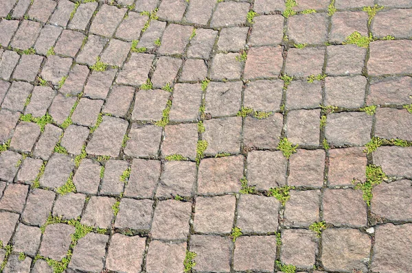 Cobblestone pavement background — Stock Photo, Image