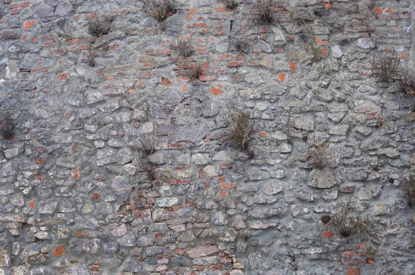 Texture of old grey stone wall — Stock Photo, Image