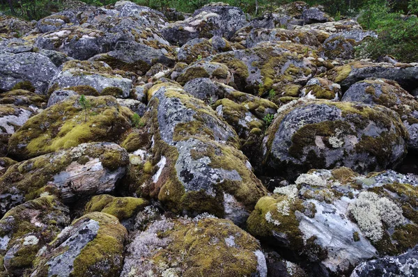Tundra içinde yosunlu kayalar — Stok fotoğraf