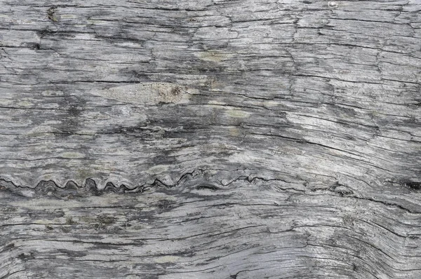 Old natural wooden texture — Stock Photo, Image