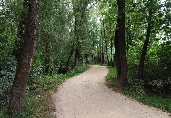 Weg im Park — Stockfoto