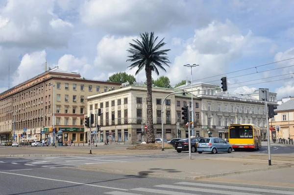 Green palm in center of Warsaw — Stock Photo, Image