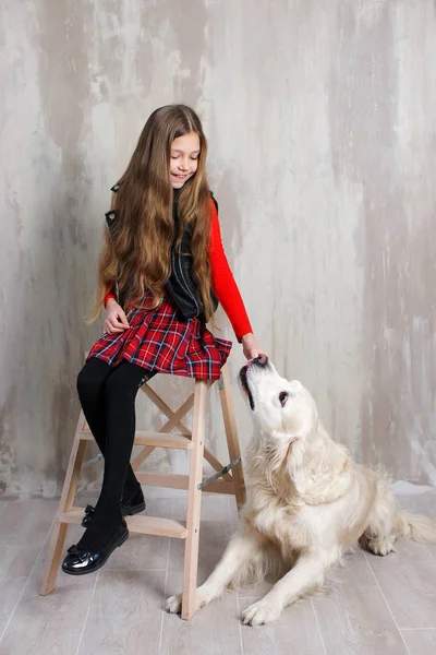 Büyük dostum. Stüdyo yetişkin bir Retriever köpek stüdyoda küçük genç kız ile gri arka plan üzerinde bir kadeh. Hayvanlar kavram seviyorum. Genç beyaz moda modeli. Köpek ile mutlu bir çocuk. Portre kız ile evde beslenen hayvan.