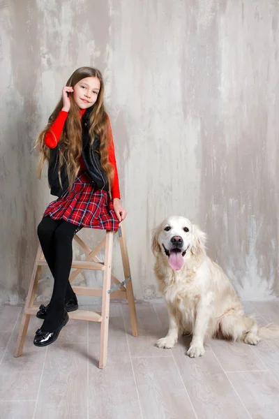 Büyük dostum. Stüdyo yetişkin bir Retriever köpek stüdyoda küçük genç kız ile gri arka plan üzerinde bir kadeh. Hayvanlar kavram seviyorum. Genç beyaz moda modeli. Köpek ile mutlu bir çocuk. Portre kız ile evde beslenen hayvan.