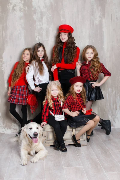 Velká Rodina Šest Hezké Dívky Všech Věkových Kategorií Šest Sester — Stock fotografie