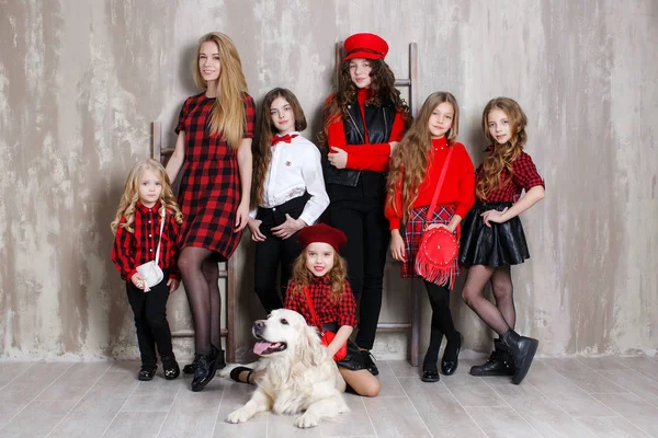 The large family.Seven pretty girls of different ages,seven sisters are posing indoors during the repair.A large, friendly family of six girls from 3 to 18 years.Concepts people,holidays,happiness,harmonious development of the child in the family.