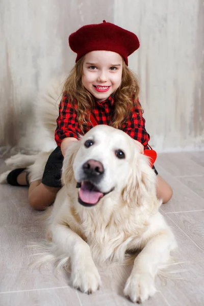 Mein Großer Freund Studioaufnahme Eines Erwachsenen Retriever Hundes Auf Grauem — Stockfoto