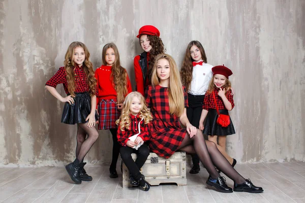 The large family.Seven pretty girls of different ages,seven sisters are posing indoors during the repair.A large, friendly family of six girls from 3 to 18 years.Concepts people,holidays,happiness,harmonious development of the child in the family.