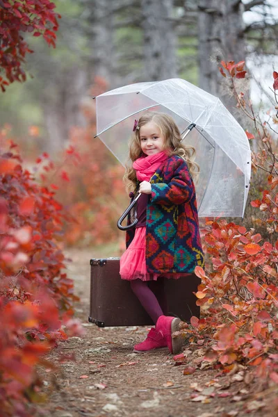 可爱的小女孩玩与下降的金黄叶子 在秋季公园散步的快乐的孩子 美丽的黄金秋天时间 秋天的孩子时尚 可爱的女孩与一个旧的手提箱和雨伞在她的手在秋天的森林在雨中的小径 — 图库照片