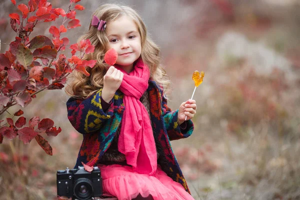 Elegante Niña Años Con Chaqueta Otoño Parque Mirando Cámara Infancia — Foto de Stock