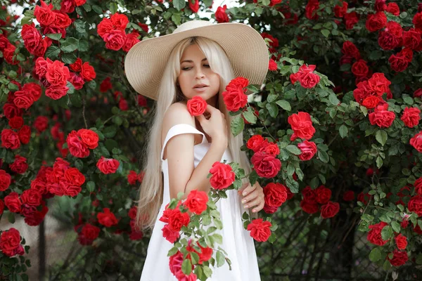 香水と化粧品 咲くバラの茂みの前の女性 野生のバラの花バラの香り ピンクの花の香りを嗅ぐ女の子愛らしいブロンド 帽子をかぶった若い美しい女性 屋外の春の庭で赤いバラの大きな茂みの近く — ストック写真