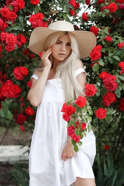 香水と化粧品 咲くバラの茂みの前の女性 野生のバラの花バラの香り ピンクの花の香りを嗅ぐ女の子愛らしいブロンド 帽子をかぶった若い美しい女性 屋外の春の庭で赤いバラの大きな茂みの近く — ストック写真