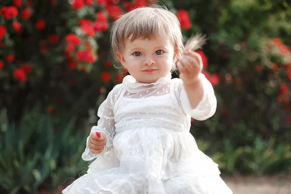 Une Petite Fille Dans Jardin Une Rose Thé Petite Fille — Photo