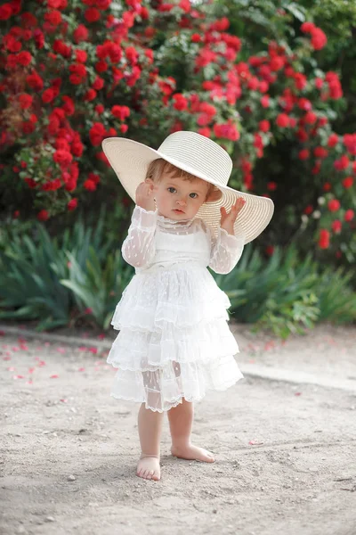 Une Petite Fille Dans Jardin Une Rose Thé Petite Fille — Photo