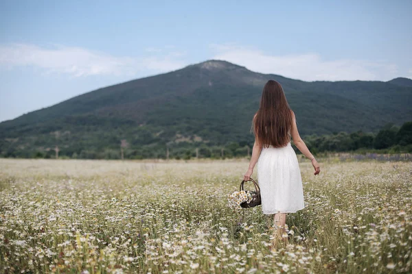 Menina Bonita Livre Com Buquê Flores Campo Margaridas Brancas Apreciando — Fotografia de Stock