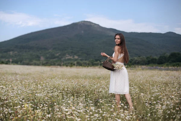 Όμορφο Κορίτσι Εξωτερικούς Χώρους Ένα Μπουκέτο Λουλουδιών Ένα Χωράφι Λευκές — Φωτογραφία Αρχείου