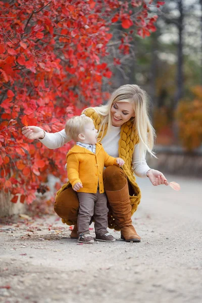 Matka Dítě Hrají Podzimním Parku Rodiče Děti Chodí Lese Slunečného — Stock fotografie