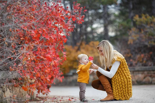 Moeder Baby Spelen Het Herfstpark Ouder Kind Wandelen Het Bos — Stockfoto