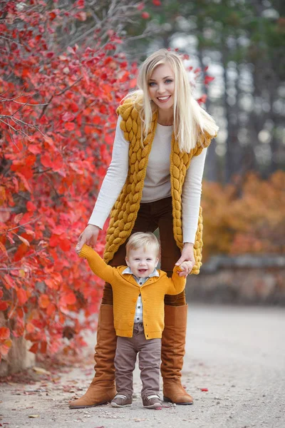 Мать Ребенок Играют Осеннем Парке Родители Дети Гуляют Лесу Солнечный — стоковое фото