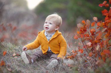Sevimli çocuk güzel bir sonbahar gününde eğleniyor. Mutlu çocuk sonbahar parkında oynuyor. Sarı sonbahar yaprakları toplayan bir çocuk. Çocuklar için sonbahar aktiviteleri. Mutlu küçük çocuk portresi, gülen ve yapraklarla oynayan bebek.