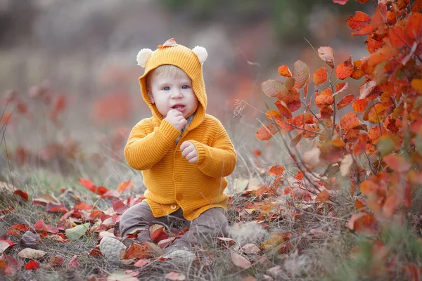 可爱的孩子在美丽的秋日里玩得很开心 快乐的孩子在秋天的公园里玩耍 收集黄色落叶的孩子 孩子们的秋天活动 在秋天的公园里 快乐的小孩 小男孩笑着玩树叶的画像 — 图库照片