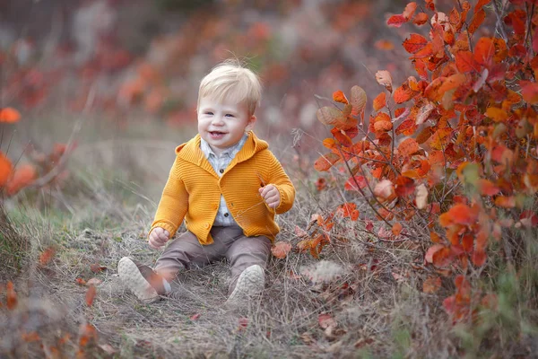 Bambino Adorabile Che Diverte Nella Bella Giornata Autunnale Bambino Felice — Foto Stock