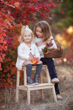 İki tatlı genç kız kardeş güzel bir sonbahar gününde eğleniyorlar. Sonbahar parkında oynayan mutlu çocuklar. Sarı sonbahar yaprakları toplayan çocuklar. Çocuklar için sonbahar aktiviteleri. Mutlu kız arkadaşlar sonbaharda dışarıda parkta vakit geçirirler..