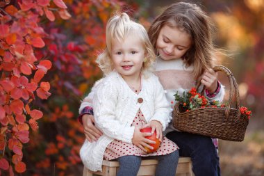 İki tatlı genç kız kardeş güzel bir sonbahar gününde eğleniyorlar. Sonbahar parkında oynayan mutlu çocuklar. Sarı sonbahar yaprakları toplayan çocuklar. Çocuklar için sonbahar aktiviteleri. Mutlu kız arkadaşlar sonbaharda dışarıda parkta vakit geçirirler..