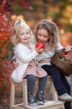 İki tatlı genç kız kardeş güzel bir sonbahar gününde eğleniyorlar. Sonbahar parkında oynayan mutlu çocuklar. Sarı sonbahar yaprakları toplayan çocuklar. Çocuklar için sonbahar aktiviteleri. Mutlu kız arkadaşlar sonbaharda dışarıda parkta vakit geçirirler..