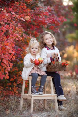 İki tatlı genç kız kardeş güzel bir sonbahar gününde eğleniyorlar. Sonbahar parkında oynayan mutlu çocuklar. Sarı sonbahar yaprakları toplayan çocuklar. Çocuklar için sonbahar aktiviteleri. Mutlu kız arkadaşlar sonbaharda dışarıda parkta vakit geçirirler..