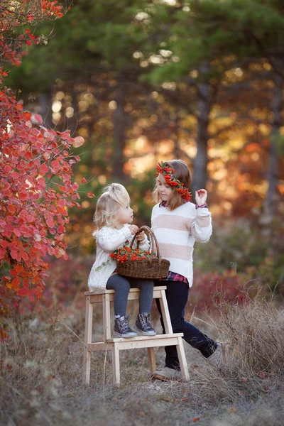 Dos Hermanas Jóvenes Lindas Divirtiéndose Hermoso Día Otoño Niños Felices —  Fotos de Stock