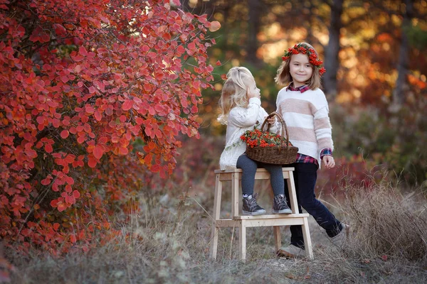 Two Cute Young Sisters Having Fun Beautiful Autumn Day Happy — Stock Photo, Image