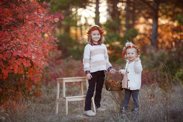 两个可爱的妹妹在美丽的秋日里玩得很开心 快乐的孩子们在秋天的公园里玩耍 收集黄色落叶的孩子 孩子们的秋季活动快乐的女朋友们秋天会花时间在公园的外面 — 图库照片